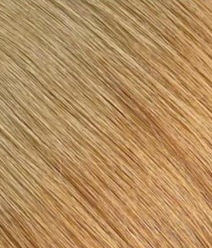 HairlyExtension | Extensions de cheveux WEFT