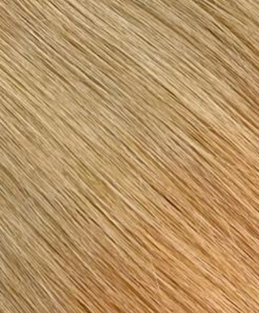HairlyExtension | Extensions de cheveux WEFT